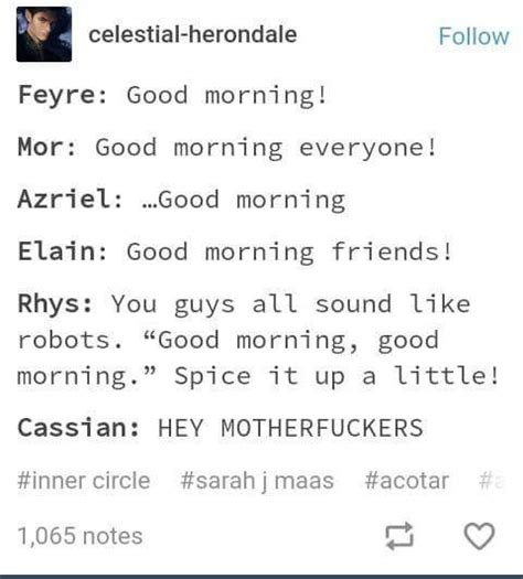 Pin By Beatriz Cabez On A Court Of Thorns And Roses Book Memes Book Jokes Acotar Funny