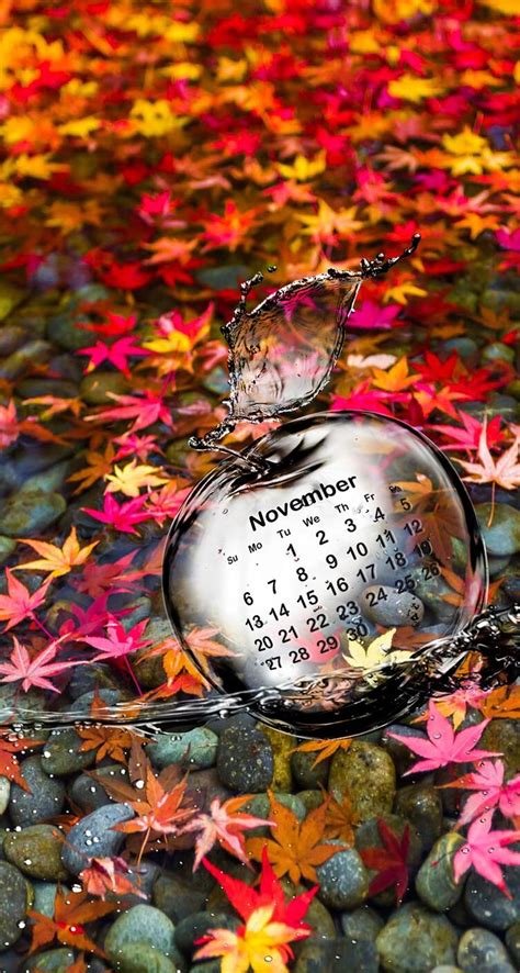 Wallpaper iPhone #calendar November ⚪️ | November wallpaper, Hello november, December wallpaper