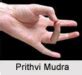 Mudra For The Hair Problems Learn Self Healing Techniques Online