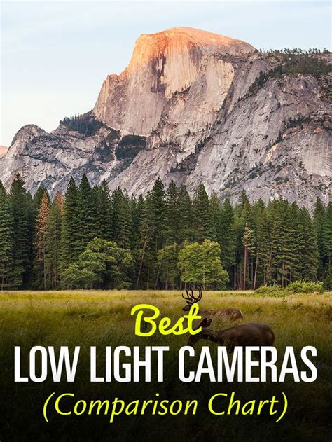 Best Low Light Cameras (Comparison Chart) • PhotoTraces | Low light ...