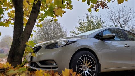 KIA Cerato (3G) 1.6 бензиновый 2014 | на DRIVE2