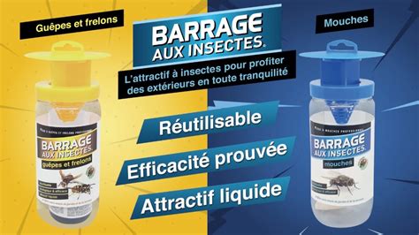 Barrage Aux Insectes Solutions Anti Mouches Et Anti Guêpes Pour Vos