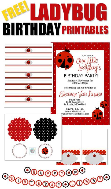 Ladybug Birthday Party with FREE Printables - How to Nest for Less™