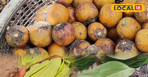 benefits  tendu leaves  ayurvedic