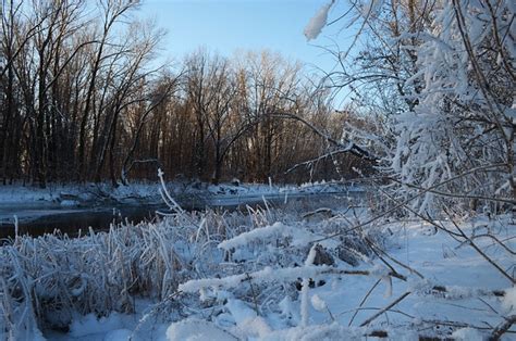 Winter Nature Russia - Free photo on Pixabay - Pixabay