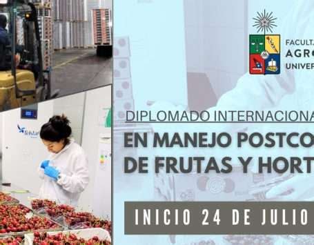 Conociendo M S Poda De Postcosecha En El Cerezo Centro Fruticultura Sur