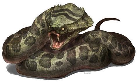 giant constrictor snake 5e - Google Search | Fantasy monster, Fantasy creatures art, Snake monster