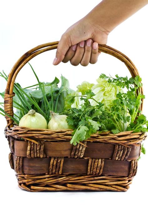 Choose vegetable. Mixed vegetable in the basket with hand holding ...