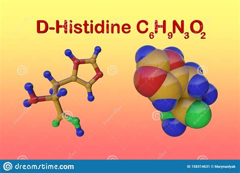 Strukturelle Chemische Formel Und Molekulares Modell Von D Histidin