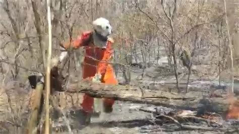 Incêndio atinge vegetação e queima 30 hectares em Barra no oeste da