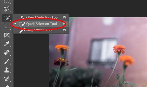 How To Use Quick Selection Tool In Photoshop Step By Step