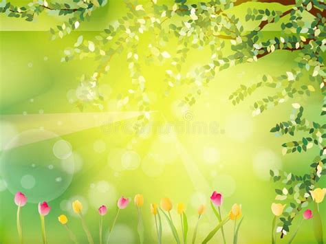 Vector Summer Nature Background Stock Vector Illustration Of Flower