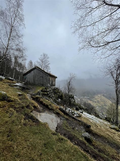 Trail in Bergen, Norway. : r/hiking