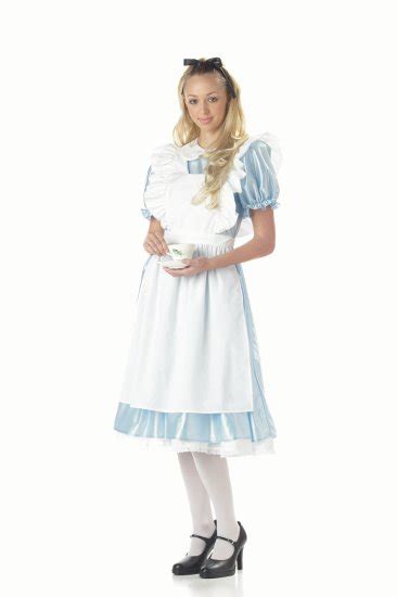 Classic Alice In Wonderland Adult Costume Size Large 01191