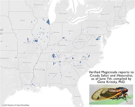 Brood X Cicada 2024 Map - Jenny Lorinda