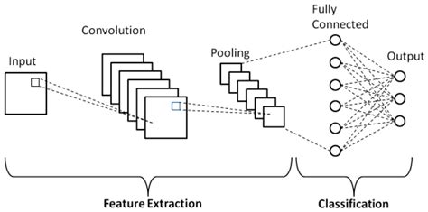 Convolutional Neural Networks The Neural Network