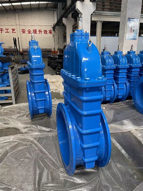 Bs Din Standard Resilizent Gate Valve With Epdm Disc China Sluice