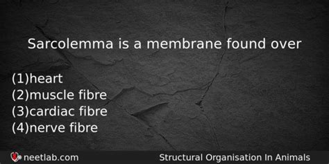 Sarcolemma is a membrane found over - NEETLab