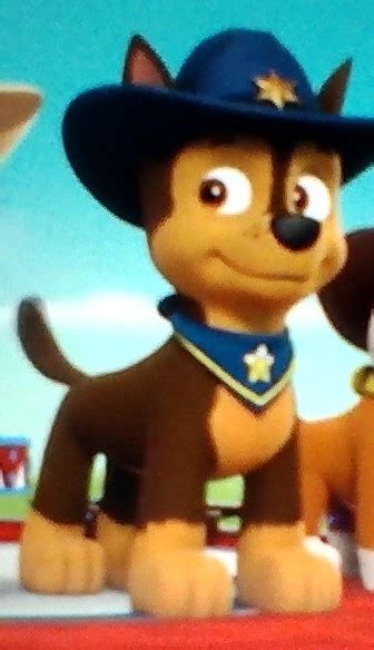 Chase Appearances Paw Patrol Cast Wiki Fandom