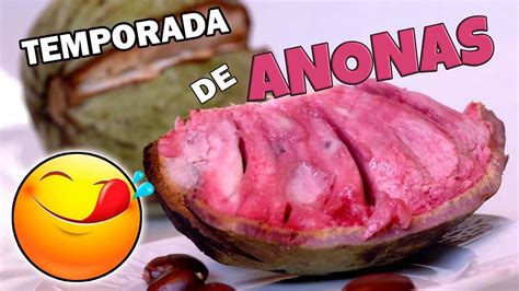 Anonas La Fruta Más Esperada Por Los Salvadoreños Ilama Saramuyo