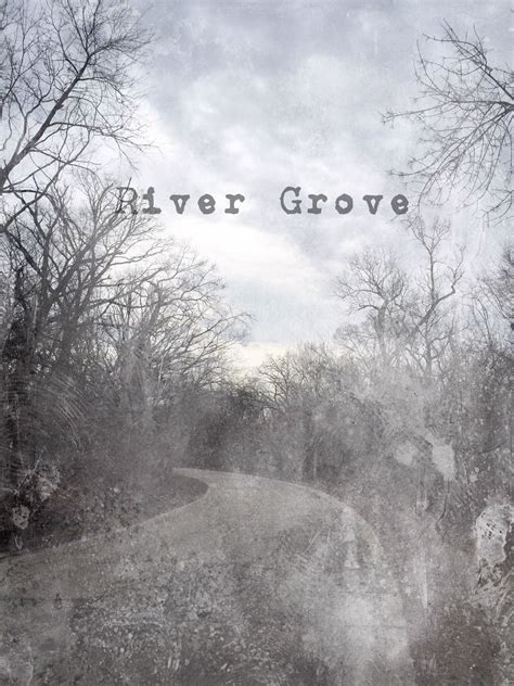 New high speed rail might pass through river grove illinois