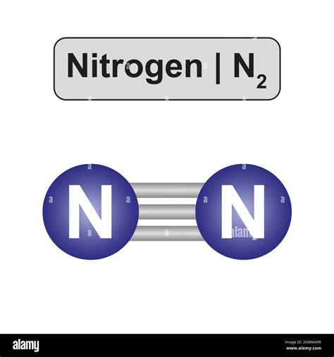 Nitrogen molecule, illustration Stock Photo - Alamy