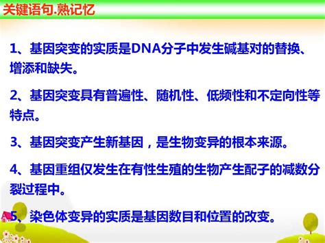 2015高三生物一轮复习从杂交育种到基因工程讲解word文档在线阅读与下载无忧文档