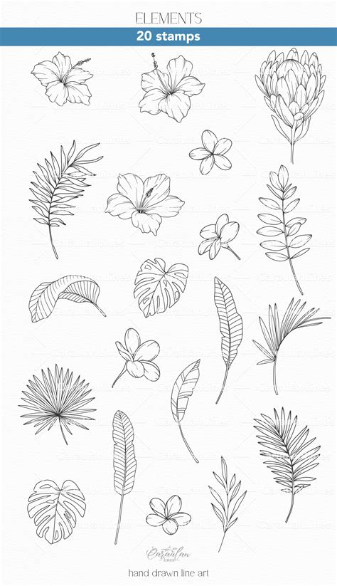 Procreate Flower Stamps Tropical Design Cuts