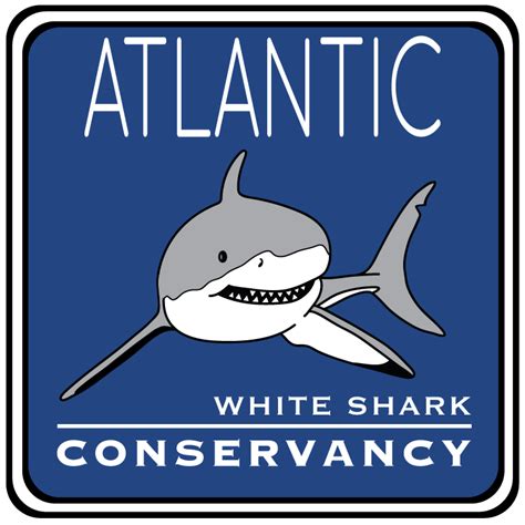 Great White Shark Logo - LogoDix