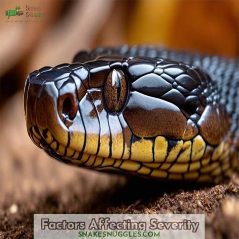 Can a Cottonmouth Kill You? Understanding This Venomous Snake's Bite