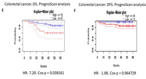 A B Correlation Between Expression Of Cd44 And Survival Of Esophageal Download Scientific