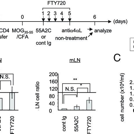 Cd T Cell Egress From Dlns Was Dependent On Integrin A