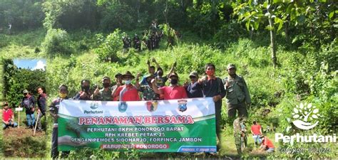 Perhutani Perhutani Tanam Ribu Bibit Pohon Di Gunung Rajekwesi Ponorogo