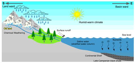 Chemical Weathering Water Diagram