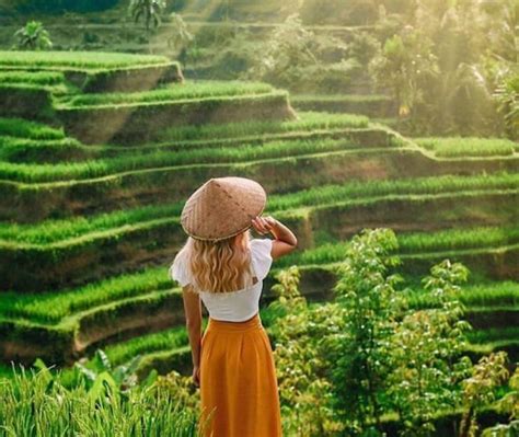 Ubud Monkey Forest Jungle Swing Rice Terrace And Water Temple