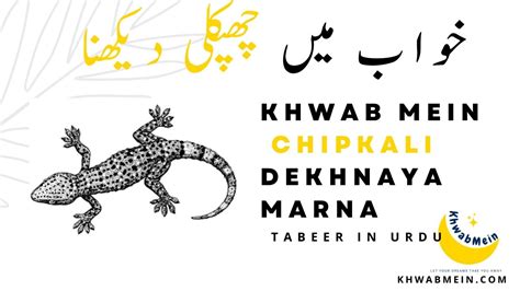 Khwab Mein Chipkali Ko Dekhna Ki Tabeer In Urdu