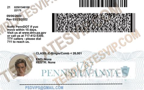 Templates 2023 Templates Drivers Licenses Premium