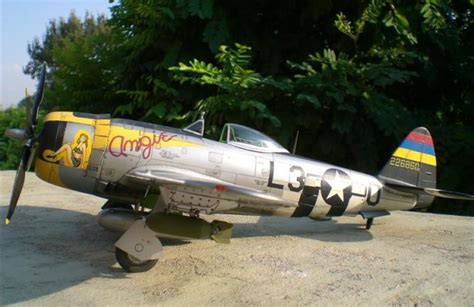 1 48 Hasegawa P 47D 27 Thunderbolt By Lorenzo Cassinadri