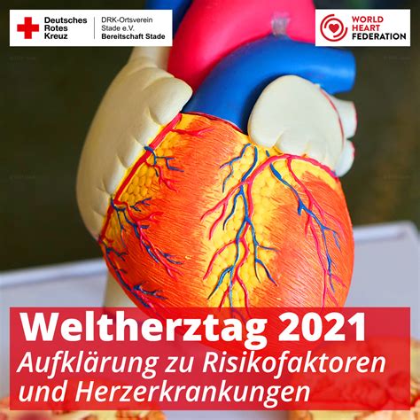 Heute Ist Der Weltherztag 2021 DRK Bereitschaft Stade