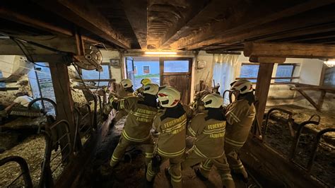 Feuerwehreinsatz Tierrettung In Letzter Minute Kuh Aus Misslicher