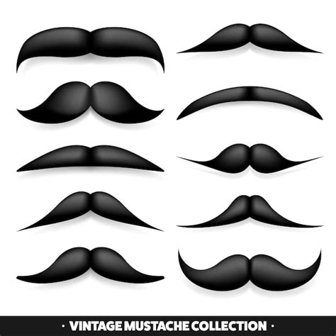 Bigode Isolado Em Branco Preto Vetor Bigode Vintage Cabelo Facial