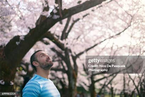 3,683 Sakura Men Stock Photos, High-Res Pictures, and Images - Getty Images