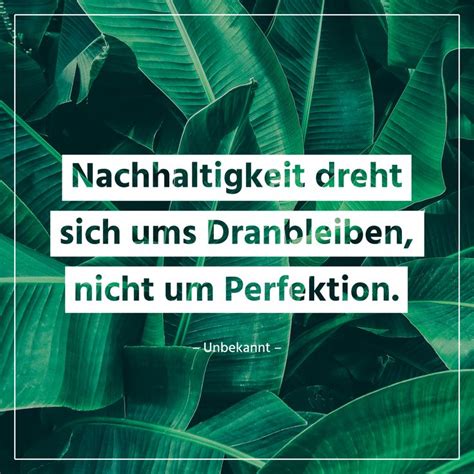 Zitate Und Spr Che Zu Dem Thema Nachhaltigkeit Nachhaltigkeit Zitate