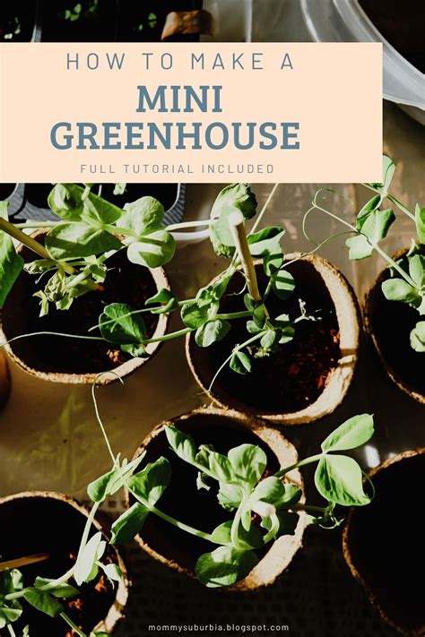 Mommy Suburbia: How To Make A Mini Greenhouse