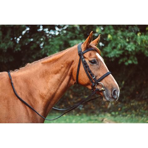 Mackey Equisential Nylon Bridles Uk