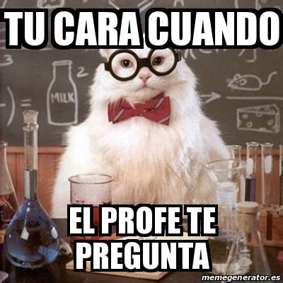 Meme Chemistry Cat Tu Cara Cuando El Profe Te Pregunta 18732751