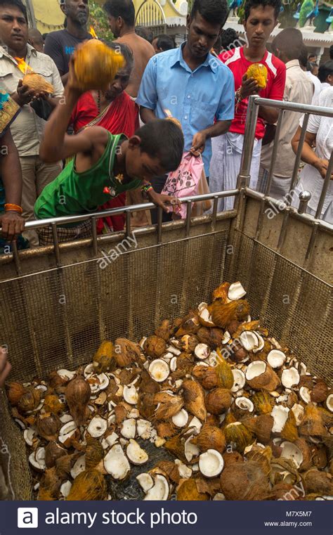 Kataragama Perahera Festival Hi Res Stock Photography And Images Alamy