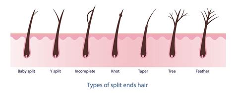 What Are Split Ends Causes Preventions And Solutions Pump Haircare