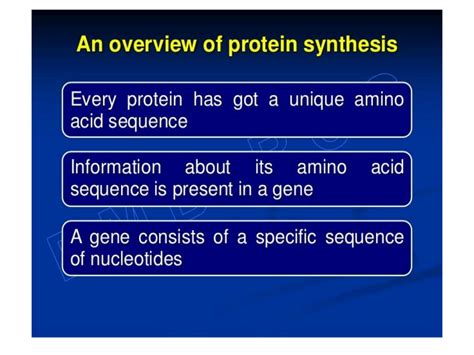 solution protein synthesis studypool