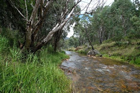 Crb Camping Area Alpine National Park